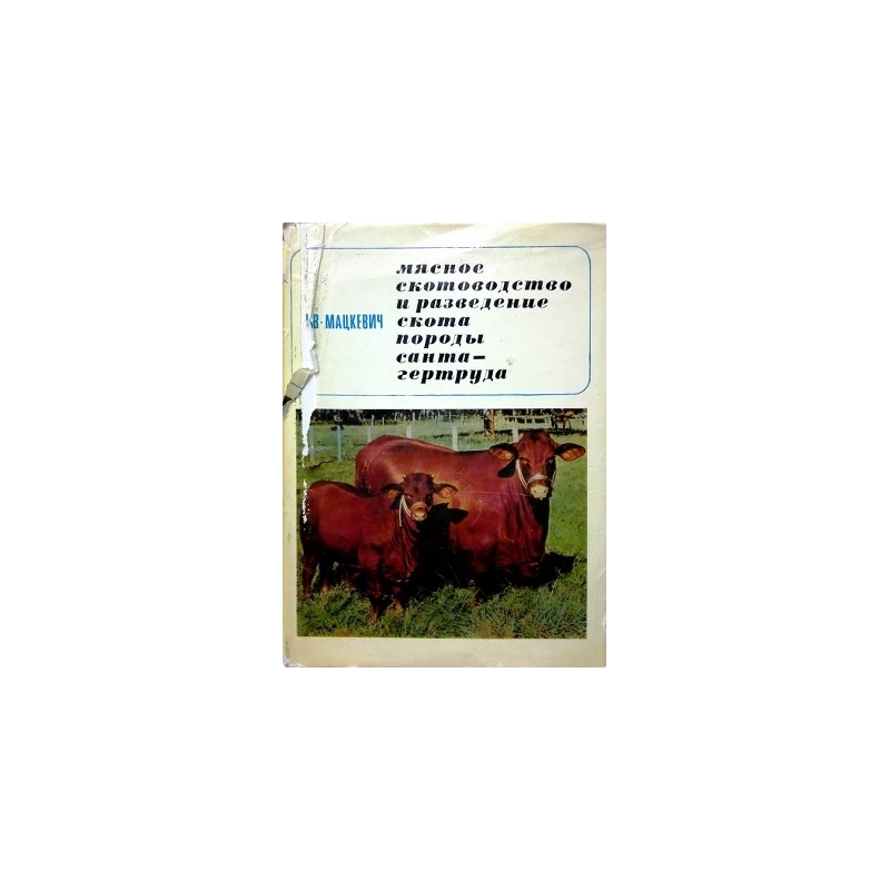 Мацкевич В.В. - Мясное скотоводство и разведение скота породы санта-гертруда