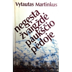 Martinkus Vytautas - Negęsta žvaigždė paukščio pėdoje