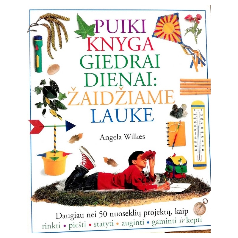 Wilkes Angela - Puiki knyga giedrai dienai: žaidžiame lauke