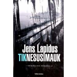 Jens Lapidus - Tik nesusimauk