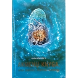 Audronė Ilgevičienė - Akmenų knyga, arba žingsnis į platesnį suvokimą (I tomas)