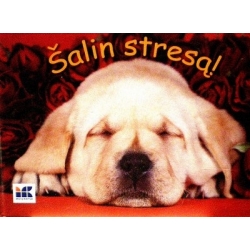 Šalin stresą