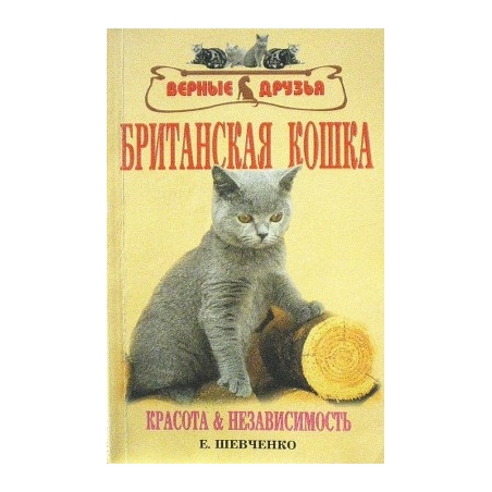 Шевченко Елена - Британская кошка